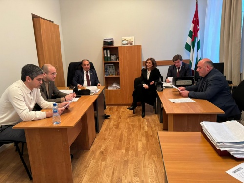 Комитет по международным, межпарламентским связям и связям с соотечественниками обсудил обращение Президента Республики Абхазия