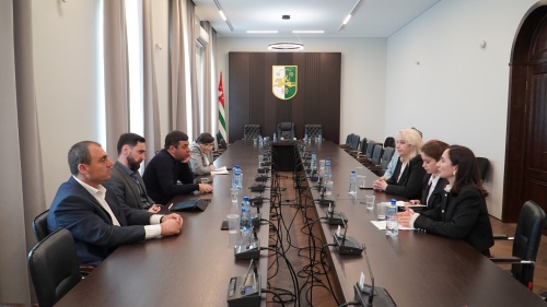 В Парламенте обсудили проблемы общего и инклюзивного образования в Республике Абхазия